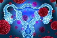 اثر تنظیمی هورمونهای استروئیدی تخمدانی بر تولید نیتریک اکساید